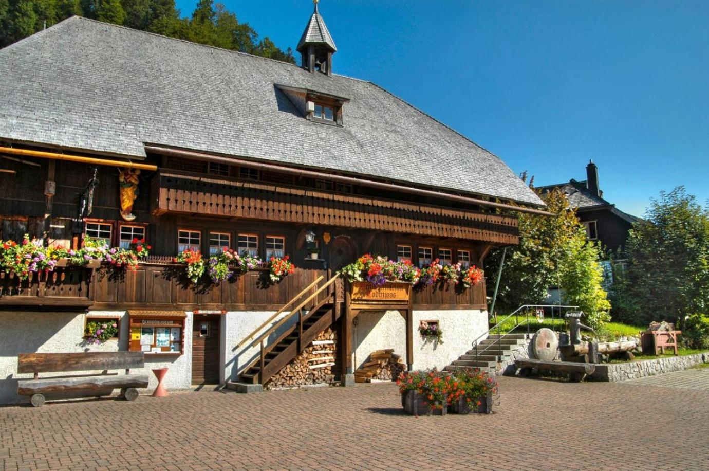 Drei Tannen - 09 - Apartmenthaus, Titisee, Feldberg *
