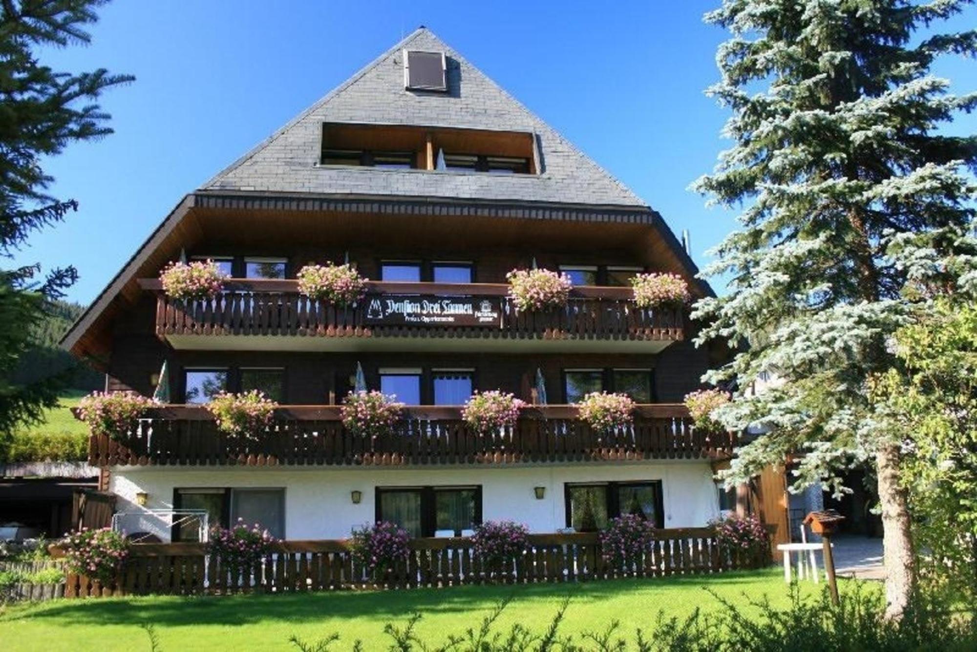Drei Tannen - 09 - Apartmenthaus, Titisee, Feldberg Titisee-Neustadt